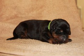 6.jpg (44.91 КБ, Просмотров: 2675) 6.jpg