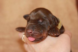 2.jpg (32.25 КБ, Просмотров: 2675) 2.jpg