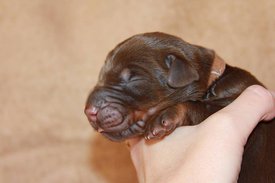 3.jpg (42.74 КБ, Просмотров: 2675) 3.jpg