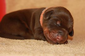 2.jpg (47.17 КБ, Просмотров: 2533) 2.jpg