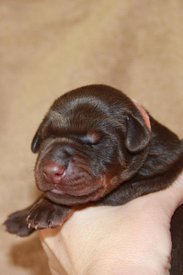 6.jpg (49.98 КБ, Просмотров: 2533) 6.jpg