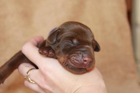 5.jpg (35.89 КБ, Просмотров: 2533) 5.jpg