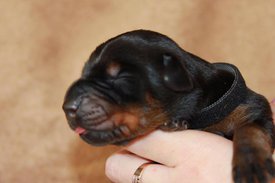 6.jpg (37.52 КБ, Просмотров: 2533) 6.jpg