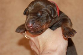 2.jpg (41.96 КБ, Просмотров: 2533) 2.jpg