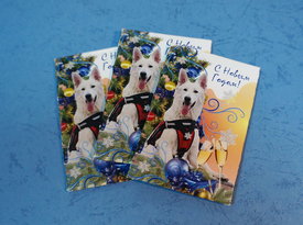 Ася2.jpg (336.59 КБ, Просмотров: 13140) Ася2.jpg