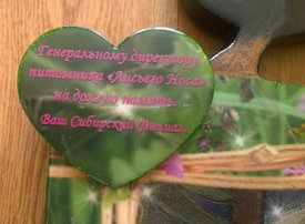 1.jpg (367.1 КБ, Просмотров: 136902) 1.jpg