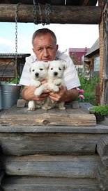 20170621_185034.jpg (74.64 КБ, Просмотров: 2041) 20170621_185034.jpg