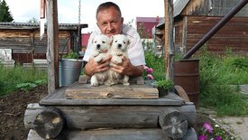 20170621_185050.jpg (68.13 КБ, Просмотров: 2041) 20170621_185050.jpg