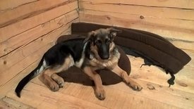 20476525_469372783435749_8474853976532015744_n.jpg (60.88 КБ, Просмотров: 1576) 20476525_469372783435749_8474853976532015744_n.jpg