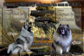 Реклама помета.jpg (146.65 КБ, Просмотров: 1933) Реклама помета.jpg