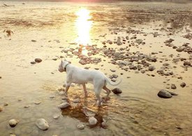 MkvlyvNsW8Q.jpg (73.83 КБ, Просмотров: 7697) MkvlyvNsW8Q.jpg