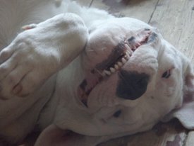 eEXsSH8wAqk.jpg (61.28 КБ, Просмотров: 7590) eEXsSH8wAqk.jpg