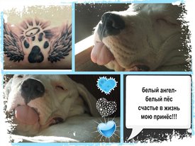 Vc3J1pT49bM.jpg (166.62 КБ, Просмотров: 7578) Vc3J1pT49bM.jpg