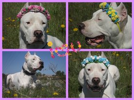 9BaR9WHe8qY.jpg (180.07 КБ, Просмотров: 7868) 9BaR9WHe8qY.jpg