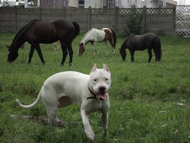 s9DPEs3_8sM.jpg (304.7 КБ, Просмотров: 7573) s9DPEs3_8sM.jpg