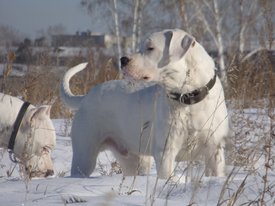 p1nJ7Py1TQ8.jpg (180.74 КБ, Просмотров: 7572) p1nJ7Py1TQ8.jpg