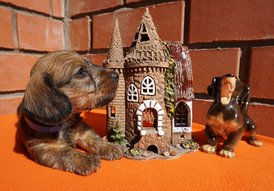 11.jpg (345.3 КБ, Просмотров: 2747) 11.jpg