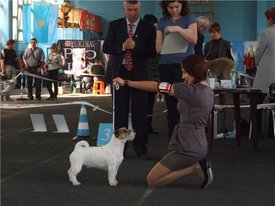 07d7f1c448b9.jpg (60.14 КБ, Просмотров: 2164) 07d7f1c448b9.jpg