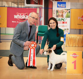 IMG_3617а.jpg (391.08 КБ, Просмотров: 2173) IMG_3617а.jpg