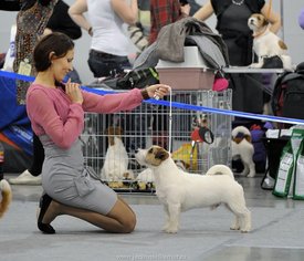 47-1.jpg (87.04 КБ, Просмотров: 2173) 47-1.jpg