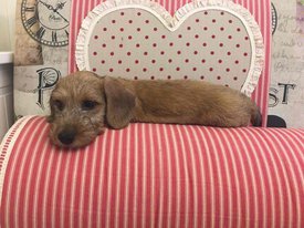 111.jpg (245.67 КБ, Просмотров: 2693) 111.jpg