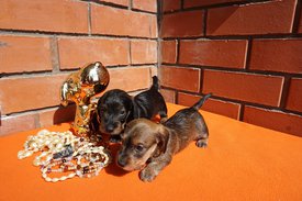 111.jpg (236.05 КБ, Просмотров: 2690) 111.jpg