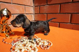 333.jpg (214.86 КБ, Просмотров: 2692) 333.jpg