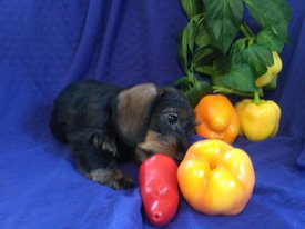 777.jpg (116.06 КБ, Просмотров: 2690) 777.jpg