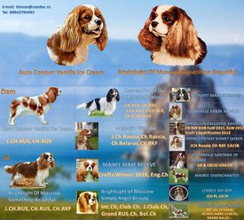 родословная.jpg (121.19 КБ, Просмотров: 6498) родословная.jpg