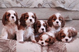 фото 1.jpg (84.13 КБ, Просмотров: 6495) фото 1.jpg