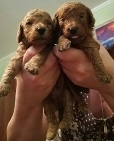 IMG-a3cbf25006aa763a89760f955882b75f-V.jpg (123.39 КБ, Просмотров: 1636) IMG-a3cbf25006aa763a89760f955882b75f-V.jpg