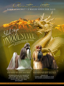 reklama.jpg (204.04 КБ, Просмотров: 1427) reklama.jpg