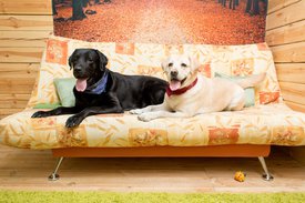 tXwVyF9ekGw.jpg (262.03 КБ, Просмотров: 4031) tXwVyF9ekGw.jpg