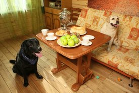 IqwYtNixO8M.jpg (241.96 КБ, Просмотров: 4038) IqwYtNixO8M.jpg