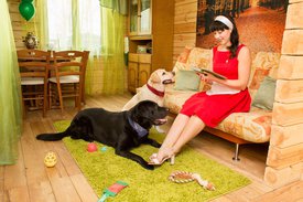 qF0lcKnxQf8.jpg (272.8 КБ, Просмотров: 4031) qF0lcKnxQf8.jpg