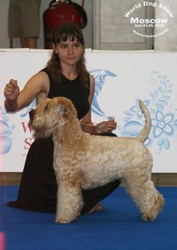 16807038_761984443978230_7878157684967471410_n.jpg (72 КБ, Просмотров: 1532) 16807038_761984443978230_7878157684967471410_n.jpg