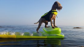 TAlk6A-cr4M_1495012739169.jpg (94.3 КБ, Просмотров: 1532) TAlk6A-cr4M_1495012739169.jpg