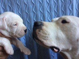 d3KSCblzqig — копия.jpg (174.64 КБ, Просмотров: 7319) d3KSCblzqig — копия.jpg