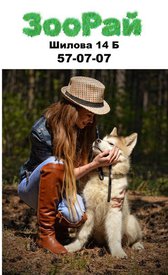 VxbZdFcEKJw.jpg (63.69 КБ, Просмотров: 13064) VxbZdFcEKJw.jpg