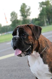 IMG_2672.jpg (203.97 КБ, Просмотров: 1631) IMG_2672.jpg