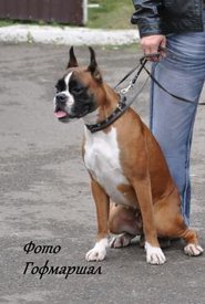 Ривьера 2.JPG (17.21 КБ, Просмотров: 1631) Ривьера 2.JPG