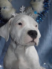 4MO78ijXpCc.jpg (114.74 КБ, Просмотров: 1456) 4MO78ijXpCc.jpg