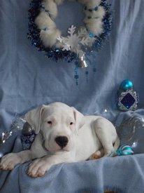 dYp5VBQKfEs.jpg (137.7 КБ, Просмотров: 1456) dYp5VBQKfEs.jpg