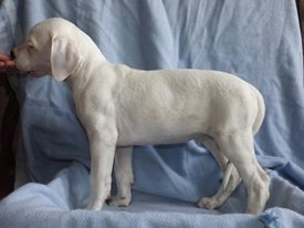 ZLStzml7o58.jpg (175.83 КБ, Просмотров: 1456) ZLStzml7o58.jpg