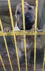 cWMdWy-tbmU.jpg (159.25 КБ, Просмотров: 1922) cWMdWy-tbmU.jpg