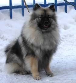 DSCBARA_1.jpg (151.38 КБ, Просмотров: 1670) DSCBARA_1.jpg