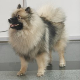 DSCN0835_1.jpg (127.68 КБ, Просмотров: 1670) DSCN0835_1.jpg