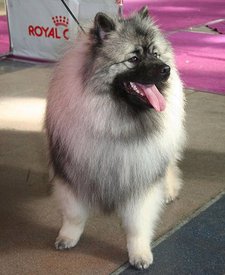 eSLfeoFmfoQ_Rd.jpg (61.68 КБ, Просмотров: 1670) eSLfeoFmfoQ_Rd.jpg