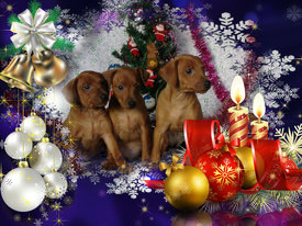 203816490495_e42b2fc71442babfdcfbd0e34a7cbe6f.jpg (446.51 КБ, Просмотров: 1770) 203816490495_e42b2fc71442babfdcfbd0e34a7cbe6f.jpg