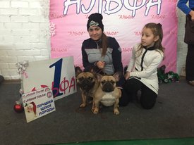 IMG-8e1594c6dacfb53890f5c5fc0e7fb6db-V.jpg (241.44 КБ, Просмотров: 2101) IMG-8e1594c6dacfb53890f5c5fc0e7fb6db-V.jpg